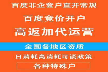 高效百度推广案例解析及优化策略